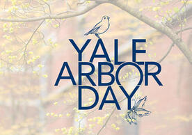 Yale Arbor Day, courtesy of Yale Internal Communications