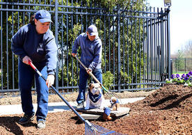 Dawn Landino (left) and Louie Fanelli (right) raking at West Campus, photo by Ronnie Rysz